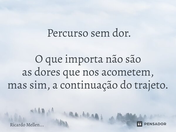 ⁠ Percurso sem dor. O que importa não são as dores que nos acometem, mas sim, a continuação do trajeto.... Frase de Ricardo Mellen....
