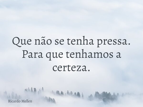 Que não se tenha pressa. Para que tenhamos a certeza.... Frase de Ricardo Mellen.