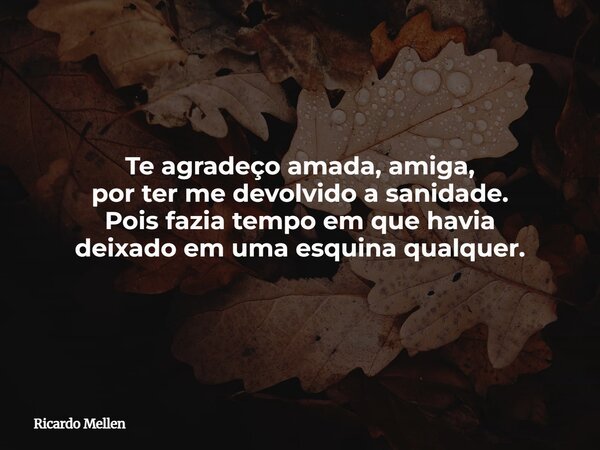 Te agradeço amada, amiga, por ter me devolvido a sanidade. Pois fazia tempo em que havia deixado em uma esquina qualquer.... Frase de Ricardo Mellen.