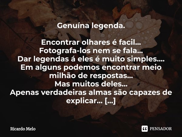 ⁠Genuína legenda. Encontrar olhares é facil...
Fotografa-los nem se fala...
Dar legendas á eles é muito simples....
Em alguns podemos encontrar meio milhão de r... Frase de Ricardo Melo.