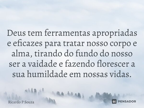 ⁠Deus tem ferramentas apropriadas e eficazes para tratar nosso corpo e alma, tirando do fundo do nosso ser a vaidade e fazendo florescer a sua humildade em noss... Frase de Ricardo P Souza.