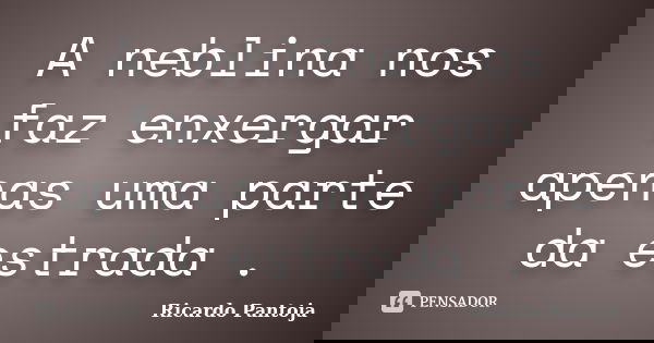 A neblina nos faz enxergar apenas uma parte da estrada .... Frase de Ricardo Pantoja.