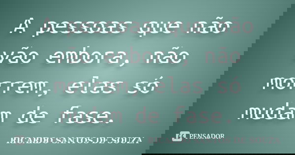 A pessoas que não vão embora, não morrem, elas só mudam de fase.... Frase de RICARDO SANTOS DE SOUZA.
