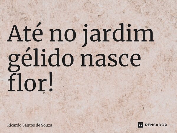 ⁠Até no jardim gélido nasce flor!... Frase de RICARDO SANTOS DE SOUZA.