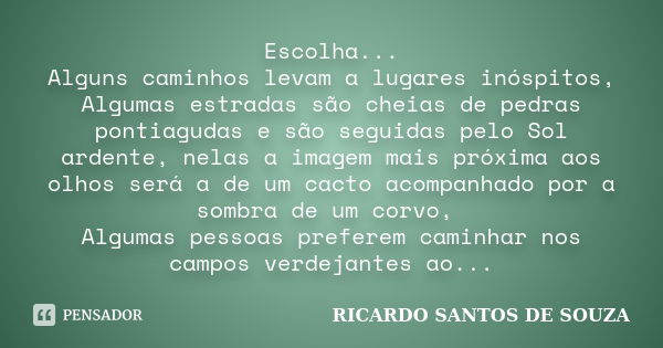 Escolha... Alguns caminhos levam a lugares inóspitos, Algumas estradas são cheias de pedras pontiagudas e são seguidas pelo Sol ardente, nelas a imagem mais pró... Frase de RICARDO SANTOS DE SOUZA.