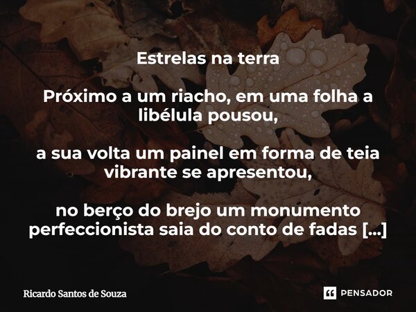 ⁠Estrelas na terra Próximo a um riacho, em uma folha a libélula pousou, a sua volta um painel em forma de teia vibrante se apresentou, no berço do brejo um monu... Frase de RICARDO SANTOS DE SOUZA.