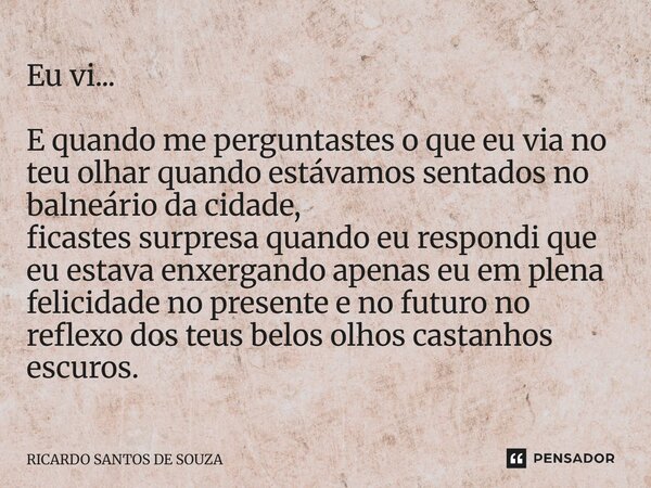 Eu vi... E quando me perguntastes o que eu via no teu olhar quando estávamos sentados no balneário da cidade, ficastes surpresa quando eu respondi que eu estav... Frase de RICARDO SANTOS DE SOUZA.