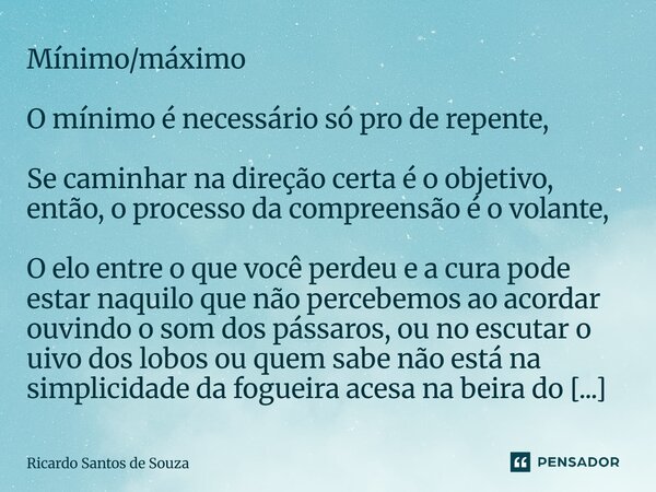 Mínimo/máximo O mínimo é necessário só pro de repente, Se caminhar na direção certa é o objetivo, então, o processo da compreensão é o volante, O elo entre o q... Frase de RICARDO SANTOS DE SOUZA.