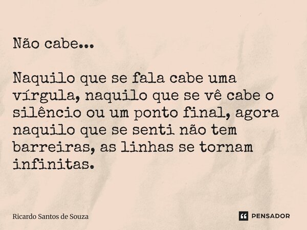 Não cabe... Naquilo que se fala cabe uma vírgula, naquilo que se vê cabe o silêncio ou um ponto final, agora naquilo que se senti não tem barreiras, as linhas s... Frase de RICARDO SANTOS DE SOUZA.
