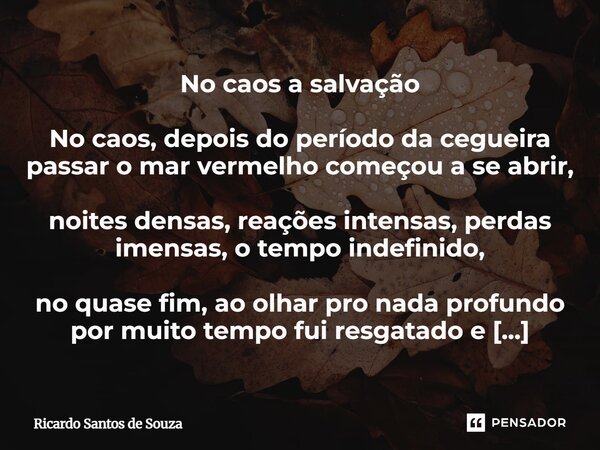 No caos a salvação ⁠No caos, depois do período da cegueira passar o mar vermelho começou a se abrir, noites densas, reações intensas, perdas imensas, o tempo in... Frase de RICARDO SANTOS DE SOUZA.