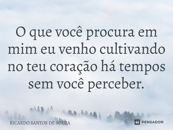 ⁠O que você procura em mim eu venho cultivando no teu coração há tempos sem você perceber.... Frase de RICARDO SANTOS DE SOUZA.