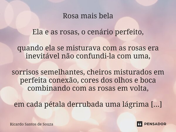 Rosa mais bela Ela e as rosas, o cenário perfeito, quando ela se misturava com as rosas era inevitável não confundi-la com uma, sorrisos semelhantes, cheiros m... Frase de RICARDO SANTOS DE SOUZA.