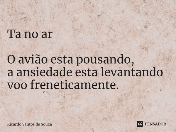 ⁠Ta no ar O avião esta pousando, a ansiedade esta levantando voo freneticamente.... Frase de RICARDO SANTOS DE SOUZA.