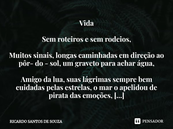 Vida ⁠Sem roteiros e sem rodeios, Muitos sinais, longas caminhadas em direção ao pôr- do - sol, um graveto para achar água, Amigo da lua, suas lágrimas sempre b... Frase de RICARDO SANTOS DE SOUZA.