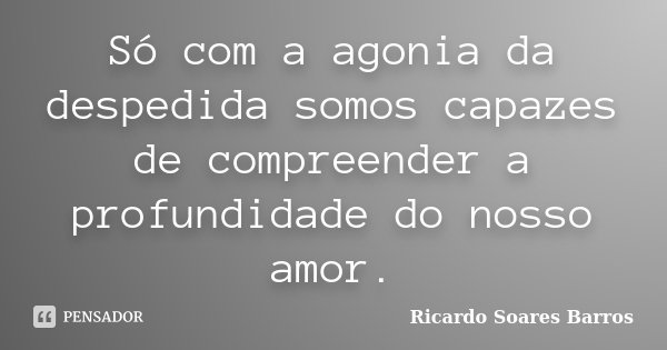 Só com a agonia da despedida somos capazes de compreender a profundidade do nosso amor.... Frase de Ricardo Soares Barros.