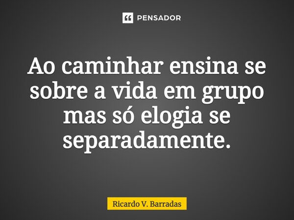 ⁠Ao caminhar ensina se sobre a vida em grupo mas só elogia se separadamente.... Frase de Ricardo V. Barradas.