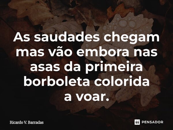 ⁠As saudades chegam mas vão embora nas asas da primeira borboleta colorida a voar.... Frase de Ricardo V. Barradas.