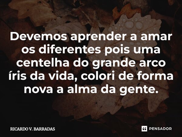 ⁠Devemos aprender a amar os diferentes pois uma centelha do grande arco íris da vida, colori de forma nova a alma da gente.... Frase de Ricardo V. Barradas.