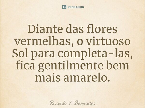 ⁠Diante das flores vermelhas, o virtuoso Sol para completa-las, fica gentilmente bem mais amarelo.... Frase de Ricardo V. Barradas.