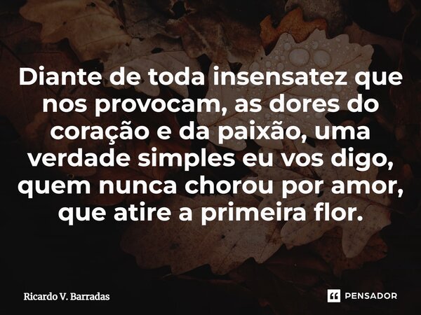 ⁠Diante de toda insensatez que nos provocam, as dores do coração e da paixão, uma verdade simples eu vos digo, quem nunca chorou por amor, que atire a primeira ... Frase de Ricardo V. Barradas.
