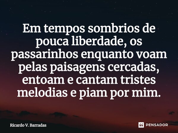 Em tempos sombrios de pouca liberdade, os passarinhos enquanto voam pelas paisagens cercadas, entoam e cantam tristes melodias e piam por mim.... Frase de Ricardo V. Barradas.