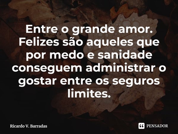 ⁠Entre o grande amor. Felizes são aqueles que por medo e sanidade conseguem administrar o gostar entre os seguros limites.... Frase de Ricardo V. Barradas.