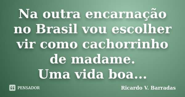 Na outra encarnação no Brasil vou escolher vir como cachorrinho de madame. Uma vida boa...... Frase de RICARDO V. BARRADAS.