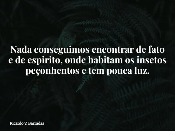 Nada conseguimos encontrar de fato e de espirito, onde habitam os insetos peçonhentos e tem pouca luz.... Frase de Ricardo V. Barradas.