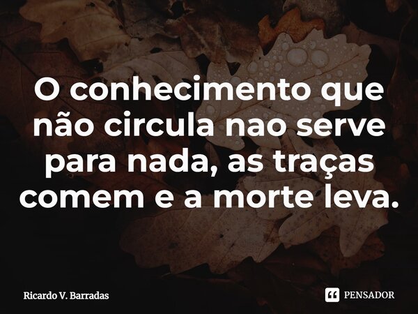 ⁠O conhecimento que não circula não serve para nada, as traças comem e a morte leva.... Frase de Ricardo V. Barradas.