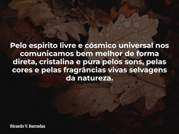 Pelo espirito livre e cósmico universal nos comunicamos bem melhor de forma direta, cristalina e pura pelos sons, pelas cores e pelas fragrâncias vivas selvagen... Frase de Ricardo V. Barradas.