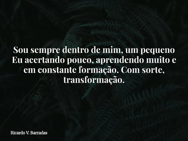Sou sempre dentro de mim, um pequeno Eu acertando pouco, aprendendo muito e em constante formação. Com sorte, transformação.... Frase de Ricardo V. Barradas.