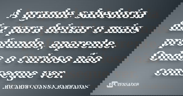 A grande sabedoria diz para deixar o mais profundo, aparente. Onde o curioso não consegue ver.... Frase de RICARDO VIANNA BARRADAS.
