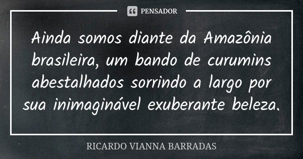 Ainda somos diante da Amazônia brasileira, um bando de curumins abestalhados sorrindo a largo por sua inimaginável exuberante beleza.... Frase de Ricardo Vianna Barradas.