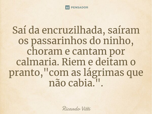 Saí da encruzilhada, saíram os passarinhos do ninho, choram e cantam por calmaria. Riem e deitam o pranto, "com as lágrimas que não cabia.".⁠... Frase de Ricardo Vitti.