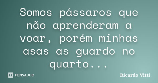 Somos pássaros que não aprenderam a voar, porém minhas asas as guardo no quarto...... Frase de Ricardo Vitti.