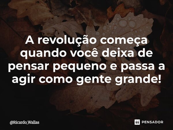 ⁠A revolução começa quando você deixa de pensar pequeno e passa a agir como gente grande!... Frase de Ricardo_Wallas.