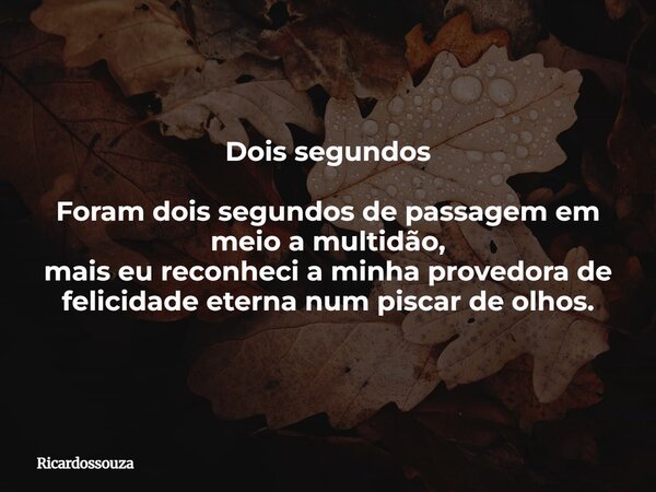 Dois segundos Foram dois segundos de passagem em meio a multidão, mais eu reconheci a minha provedora de felicidade eterna num piscar de olhos.... Frase de Ricardossouza.