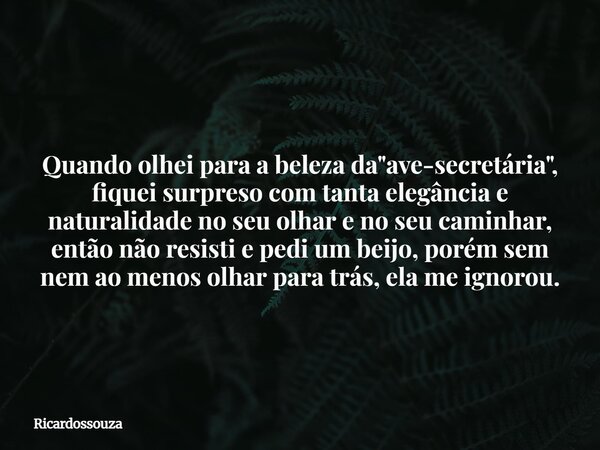 Quando olhei para a beleza da "ave-secretária", fiquei surpreso com tanta elegância e naturalidade no seu olhar e no seu caminhar, então não resisti e... Frase de Ricardossouza.