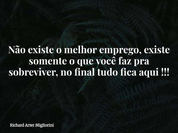 Não existe o melhor emprego, existe somente o que você faz pra sobreviver, no final tudo fica aqui !!!... Frase de Richard Arter Migliorini.