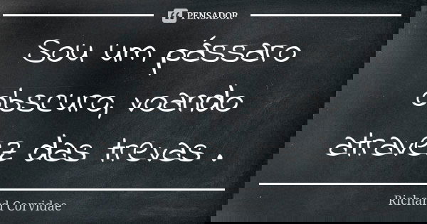 Sou um pássaro obscuro, voando atravez das trevas .... Frase de Richard Corvidae.