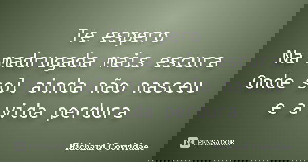Te espero Na madrugada mais escura Onde sol ainda não nasceu e a vida perdura... Frase de Richard Corvidae.