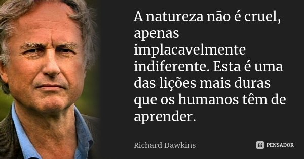 A natureza não é cruel, apenas implacavelmente indiferente. Esta é uma das lições mais duras que os humanos têm de aprender.... Frase de Richard Dawkins.