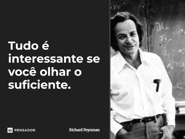 Tudo é interessante se você olhar o suficiente.... Frase de Richard Feynman.
