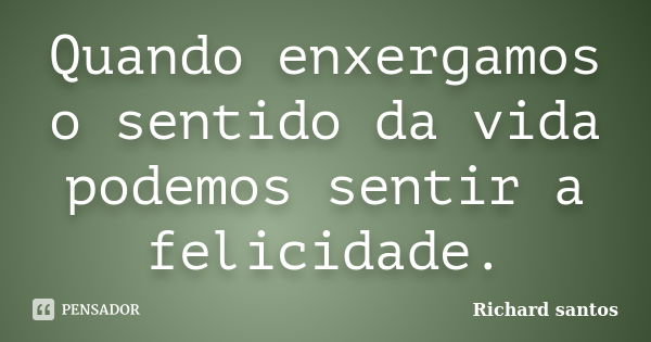 Quando enxergamos o sentido da vida podemos sentir a felicidade.... Frase de Richard santos.