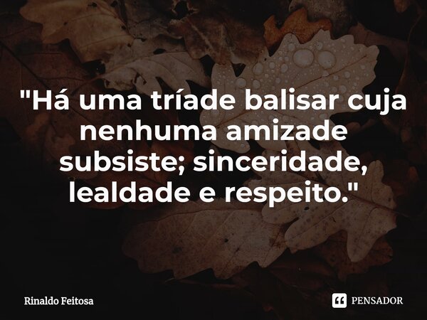 ⁠"Há uma tríade balisar cuja nenhuma amizade subsiste; sinceridade, lealdade e respeito."... Frase de Rinaldo Feitosa.
