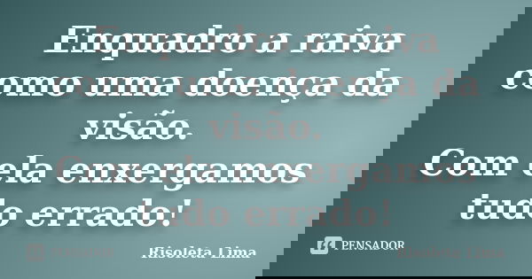 Enquadro a raiva como uma doença da visão. Com ela enxergamos tudo errado!... Frase de Risoleta Lima.