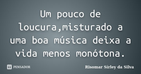 Um pouco de loucura,misturado a uma boa música deixa a vida menos monótona.... Frase de Risomar Sírley da Silva.