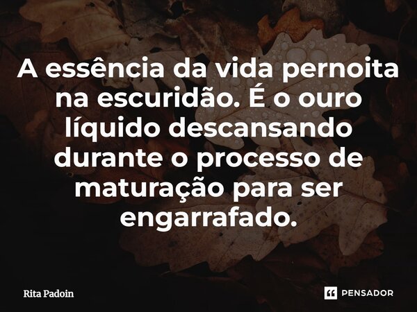 ⁠A essência da vida pernoita na escuridão. É o ouro líquido descansando durante o processo de maturação para ser engarrafado.... Frase de Rita Padoin.