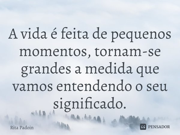 ⁠A vida é feita de pequenos momentos, tornam-se grandes a medida que vamos entendendo o seu significado.... Frase de Rita Padoin.