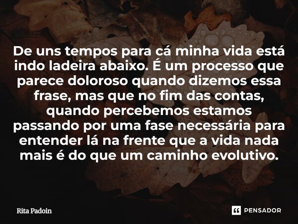De uns tempos para cá minha vida está indo ladeira abaixo. É um processo que parece doloroso quando dizemos essa frase, mas que no fim das contas, quando perce... Frase de Rita Padoin.